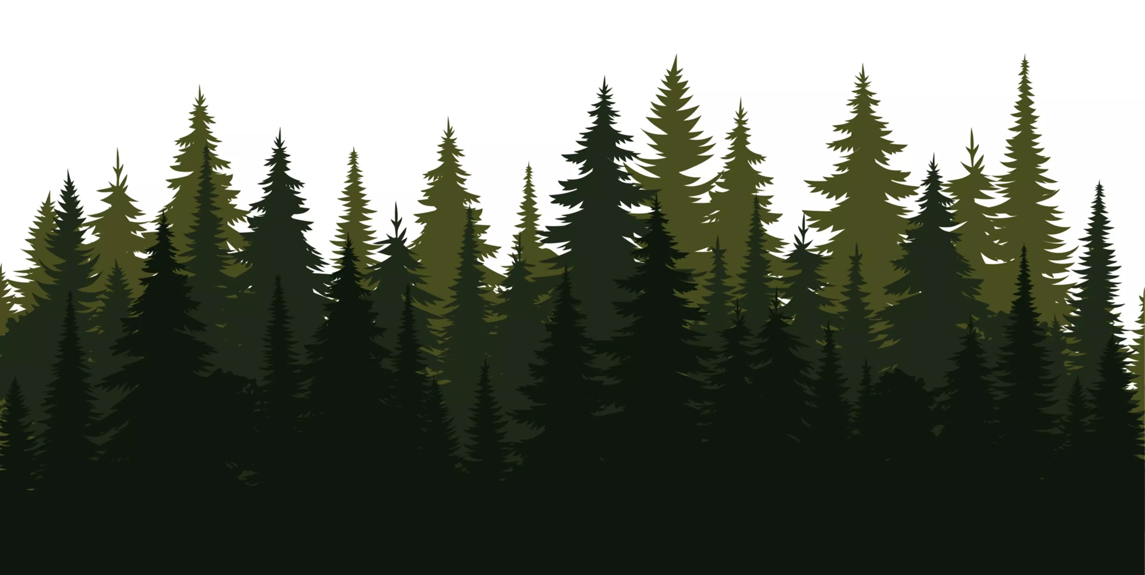 A cartoon-styled pine forest.